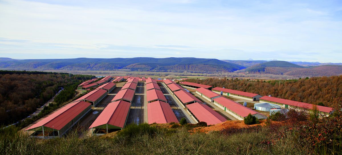 Grupo Miguel Vergara cierra el año 2019 con una facturación de 45,6M€