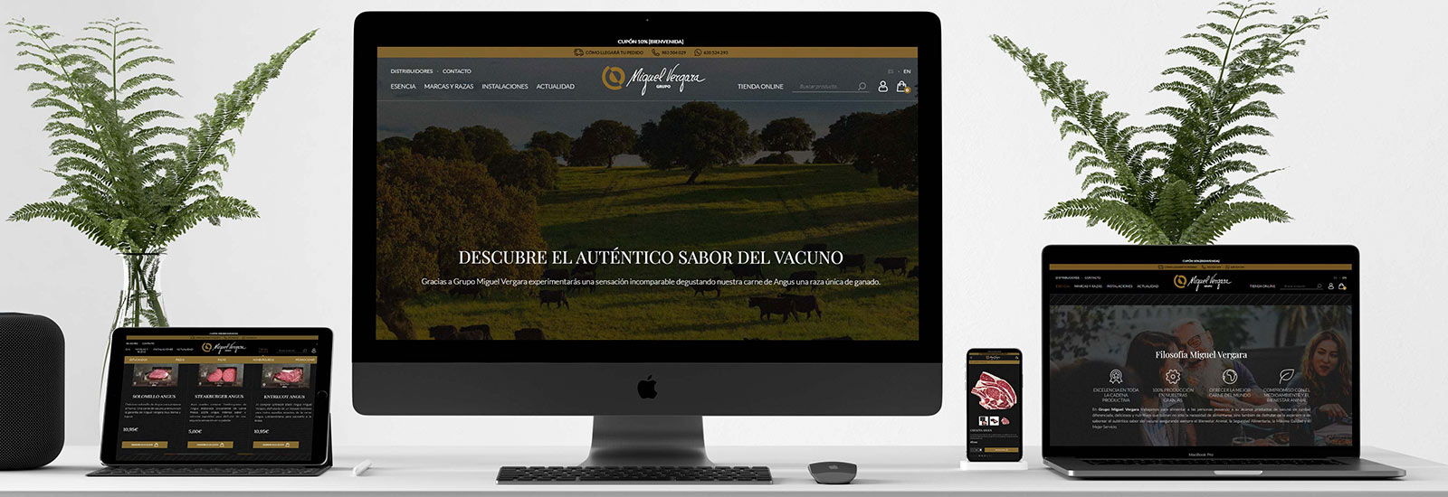 Grupo Miguel Vergara estrena página web con tienda online integrada: miguelvergara.com