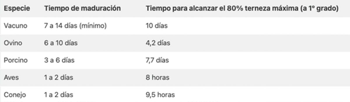 tiempo de maduración de la carne