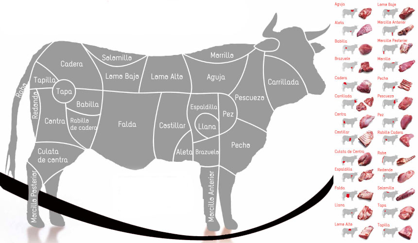 cortes de carne de vacuno de donde proceden