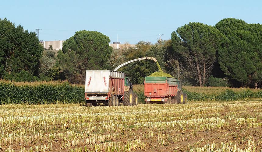 instalaciones producción propia alimentacion ganado