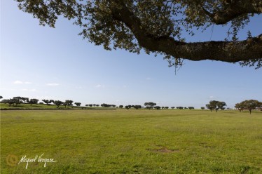 Finca Baños De Ledesma