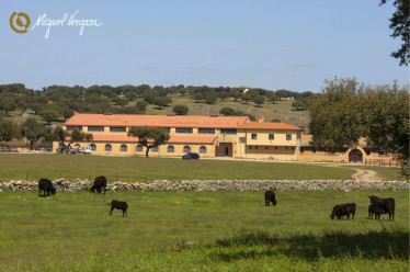 Finca Baños De Ledesma