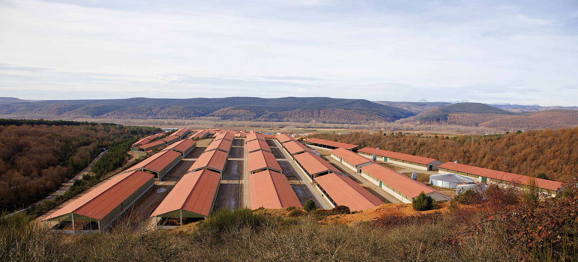 Where the best meat in the world is raised and made