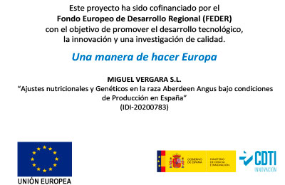 AJUSTES NUTRICIONALES Y GENÉTICOS EN LA RAZA ABERDEEN ANGUS BAJO CONDICIONES DE PRODUCCIÓN EN ESPAÑA