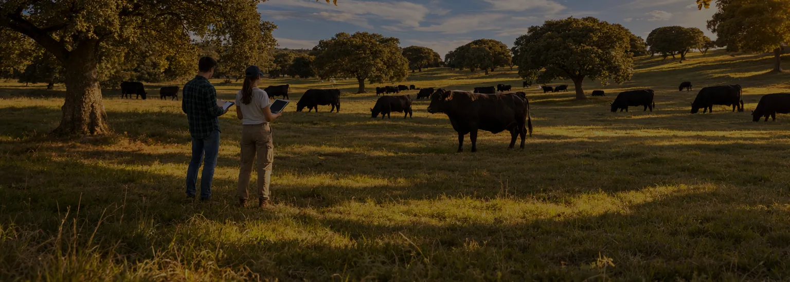 ¿Eres estudiante? Apúntate a nuestra bolsa de empleo